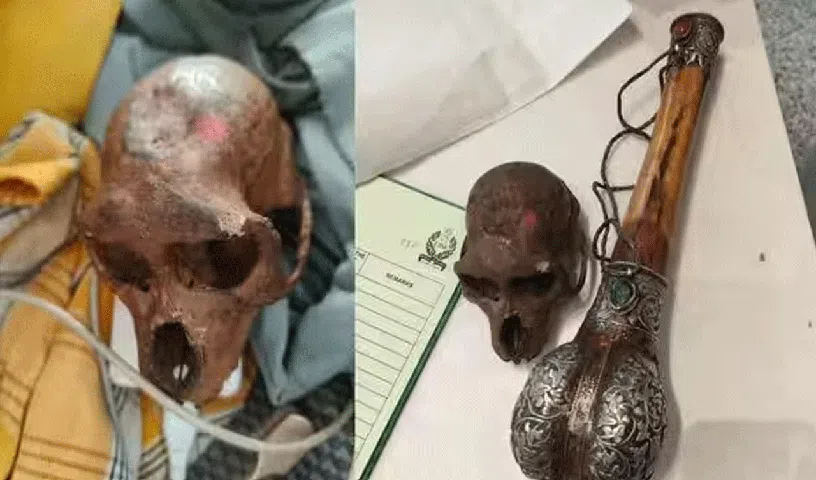 ఢిల్లీ ఎయిర్‌పోర్టులో కోతి పుర్రె క‌ల‌క‌లం..