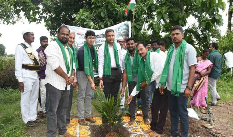 ఆయిల్ పామ్ సాగుతోనే రైతులకు దీర్ఘకాలిక ఆర్థిక స్థిరత్వం